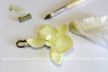Phalaenopsis Phalaenopsis de la Phoamiran, clasa de master