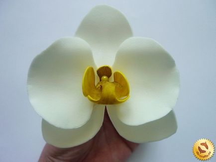 Orhidee din clasa maestru Foamiran cu fotografia pas-cu-pas singură