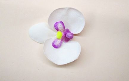 Orchid származó foamirana mesterkurzus lépésről lépésre fotók, mesterkurzusán foamirana