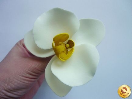 Orhidee din clasa maestru Foamiran cu fotografia pas-cu-pas singură