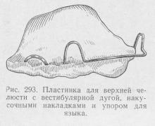 Відкритий прикус, ортопедична стоматологія