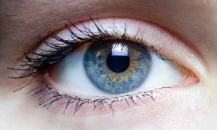 Cauzele și tratamentul papiloamelor în jurul ochilor