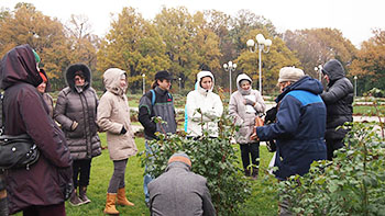 Centrul Internațional de Artă Peisagistică din Petersburg - Green Arrow