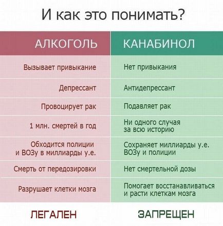 Чому марихуана краще алкоголю, 10 фактів на користь конопель в одній статьеmj novosti