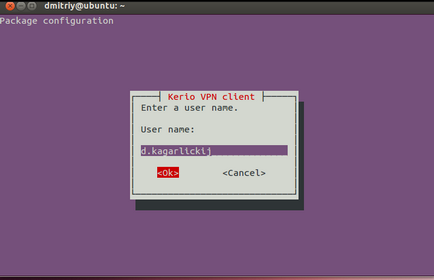 Conectarea la kerio vpn de la Linux, este comunitatea din Ucraina