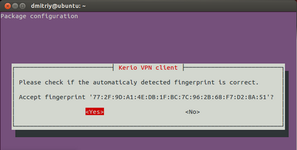 a Kerio VPN-kapcsolat a linux, ukrán IT Közösség