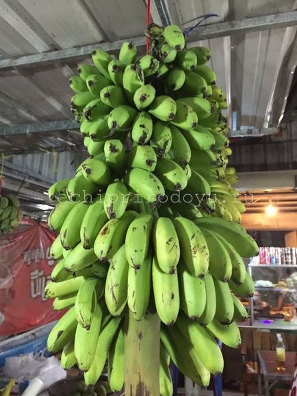 Користь банана для обличчя, волосся і з банана, цілюща сила рослин
