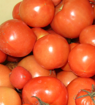 Tomatele cu usturoi sunt un produs util, succes cu noi