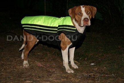 Takaró és kabátok kutyák rendelni