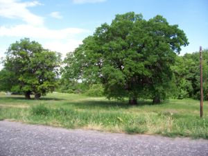 Ortodox templomok a város Frolovo