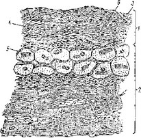 6. előállítás №