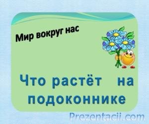 Презентація - що таке хвоинки - 1 клас - до уроку навколишнього світу