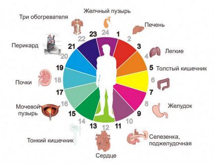 Прийом ліків 5 важливих правил!