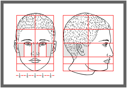 Proporțiile capului, calea către artă