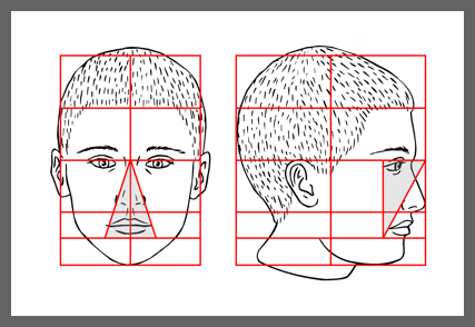 Proporțiile capului, calea către artă