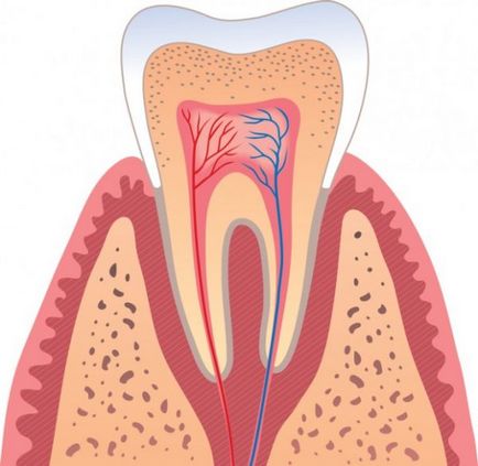 Celuloza dintelui ce este si cum se trateaza inflamatia