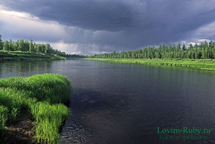 Pescuitul sub piatra Tunguska