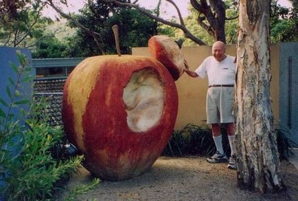 Найбільші яблука в світі, цікаві факти