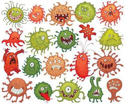 Найцікавіші факти про бактеріях огляд, опис і види