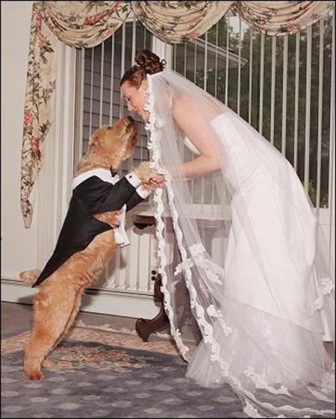 A legszokatlanabb esküvői hagyományok a világ, az élet fotoblog-)