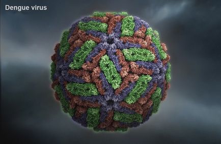 Virusii cei mai periculoși din lume pentru oameni