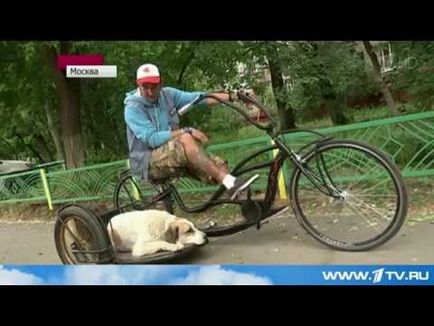 Căsuța de torpedou de casă pe bicicletă