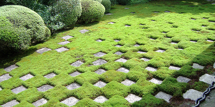 Titkok japán privát park - Cikk (japán) Titkok japán privát park - Cikk