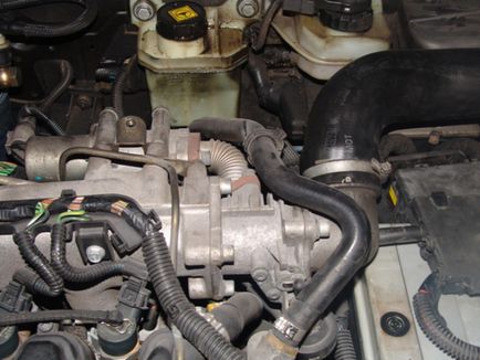 Valve service egr, repara lancia lybra