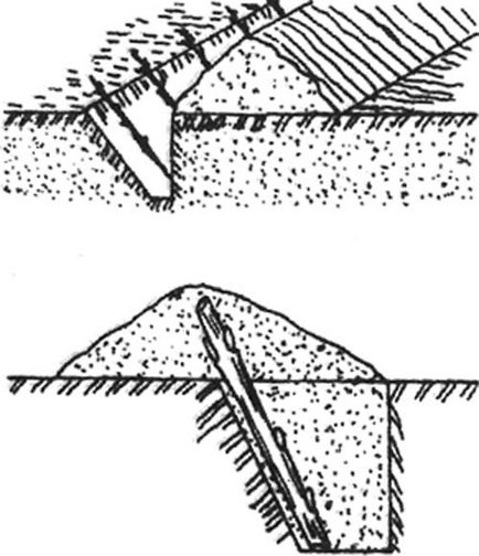 Vata de struguri, agricultura ecologica