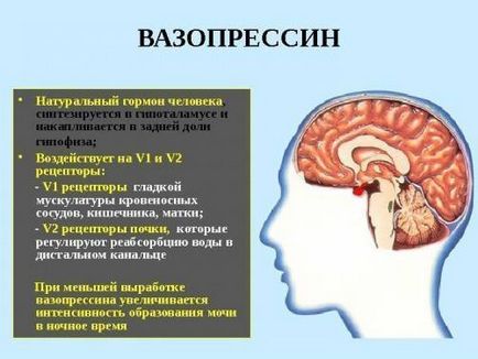 Simptomele diabetului insipid la femei și bărbați, diagnosticul bolii