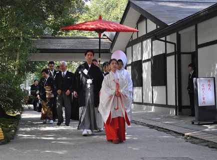 Синтоїзм в світі японських духів - таємниці релігій - новини