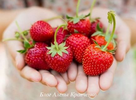 Smoothies de căpșuni - top 5 rețete delicioase, blogul aleny kravchenko