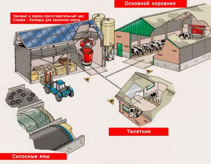 Construirea unui proiect de fermă pentru bovine