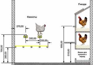 Construcția unei găini simple cu propriile mâini, desene și etaje, caracteristici ale construcției unei case