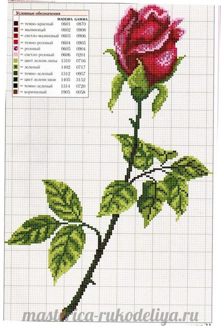 Схеми вишивки хрестиком квітів безкоштовно троянди, маки, орхідеї, тюльпани