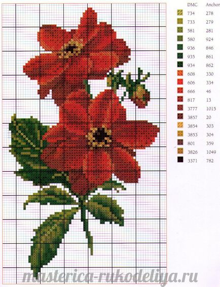 Схеми вишивки хрестиком квітів безкоштовно троянди, маки, орхідеї, тюльпани
