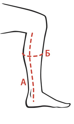 Diagrame de dimensiuni, potcoavă siberiană