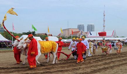 Thailanda - calendar de sărbători pe lună