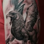 Griffin tetoválás jelenti fotók és vázlatok