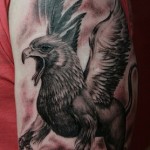 Griffin valoare tatuaj, fotografie și schițe