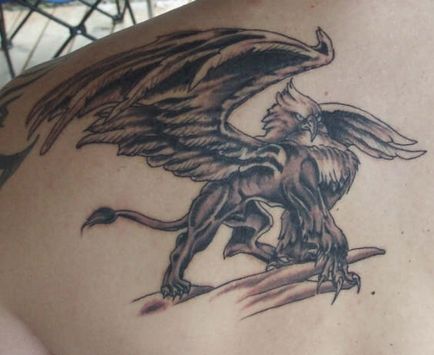 Tattoo este un grifon de semnificație atât pentru băieți și fete.