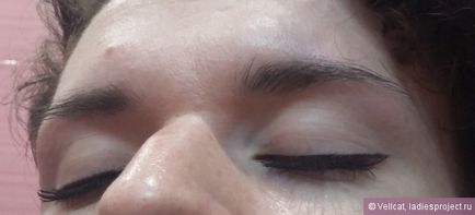 Fard de ochi (nuanțe 104 și 118) de la make-up de artă - recenzii, fotografii și preț