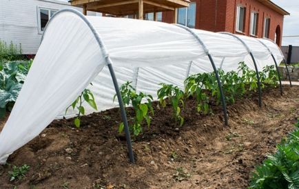 Üvegházak olvadva alkalmazások tetőfedő anyag, az érvek és ellenérvek