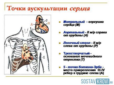 Tonurile cardiace sunt normale, umflate, descriere, auscultare, tipuri de tonuri cardiace