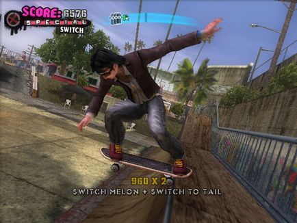 Jocul de skateboard american al lui Tony Hawk