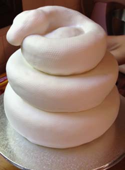Торт у вигляді змії торт змія