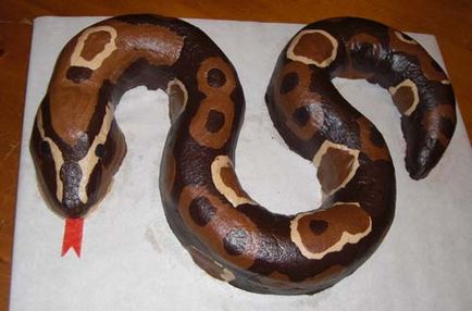 Tort în formă de șarpe de șarpe de șarpe