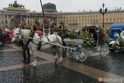 Difuzarea ca zi a Rusiei în St. Petersburg trece - societatea - știri din Sankt-Petersburg