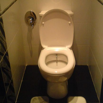 Тоалетна с биде функции - две в едно, какво е това, вида и характеристиките на тоалетната с биде,