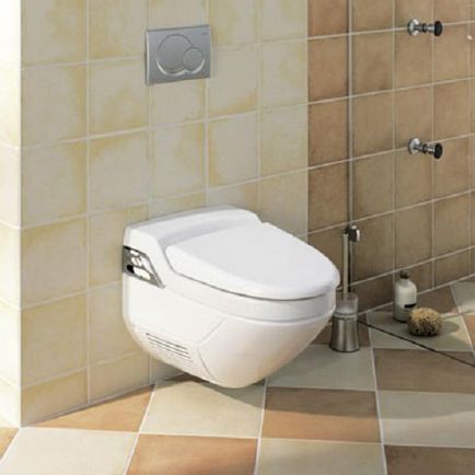 Vasul de toaletă împreună cu funcția bideu - două în una, ce este, tipurile și caracteristicile bolului de toaletă cu bideu,